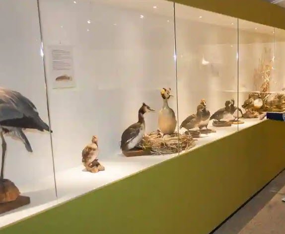 Government Museum, Kenikarai, Ramanathapuram, Tamil Nadu - Vushii.com